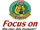 focus on.jpg